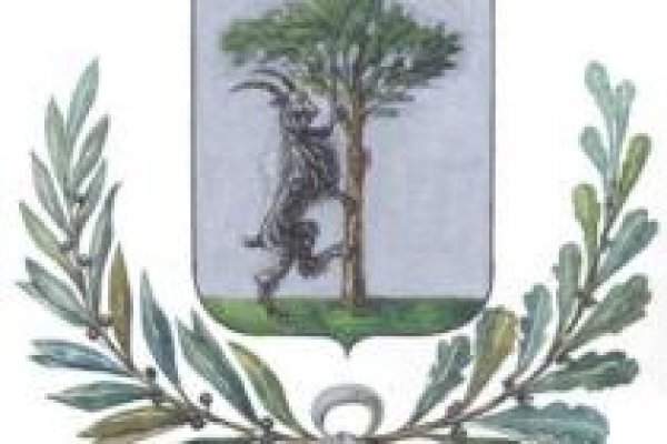 Как войти в даркнет